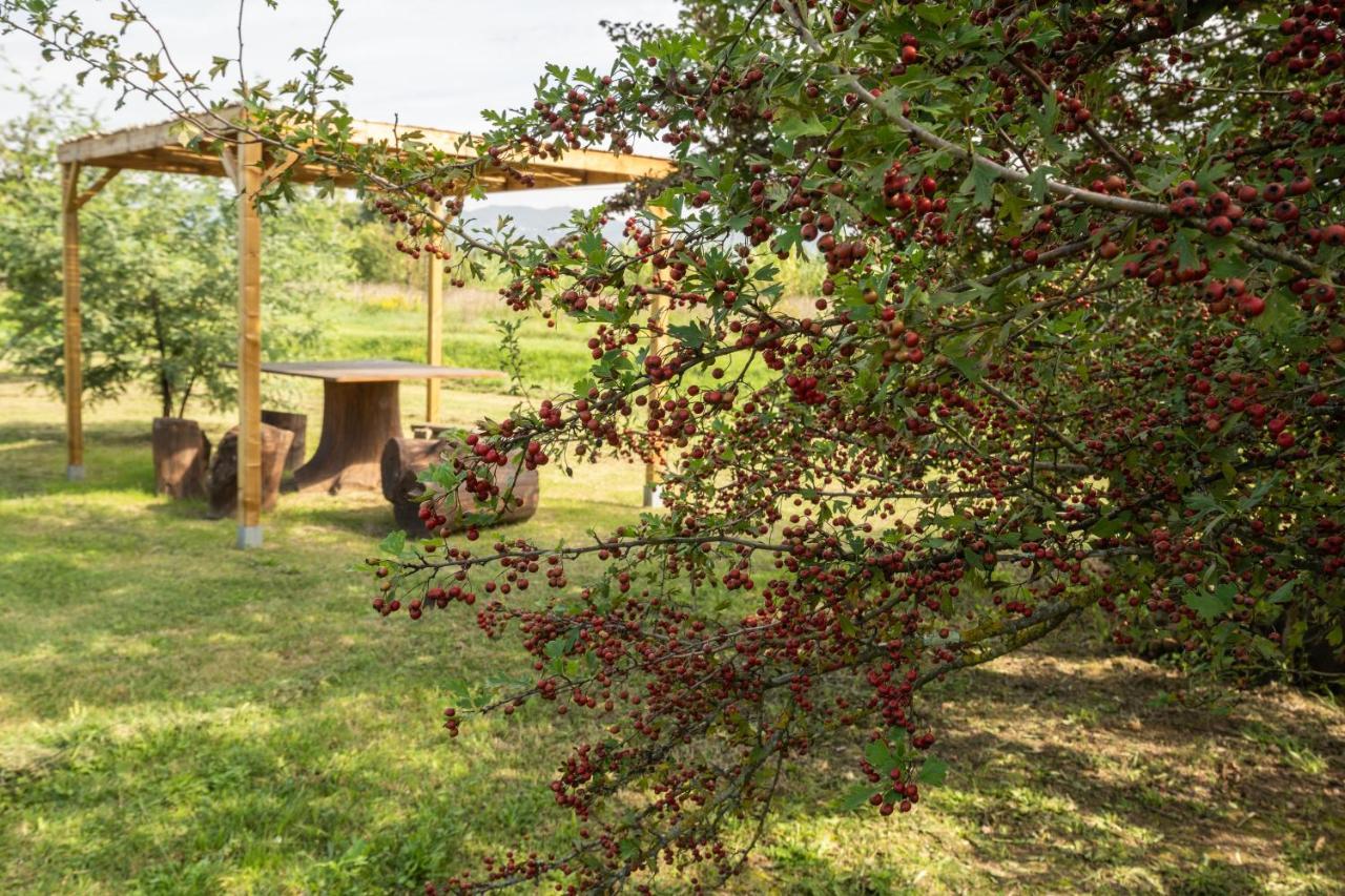 Incanto Toscano Holiday home *