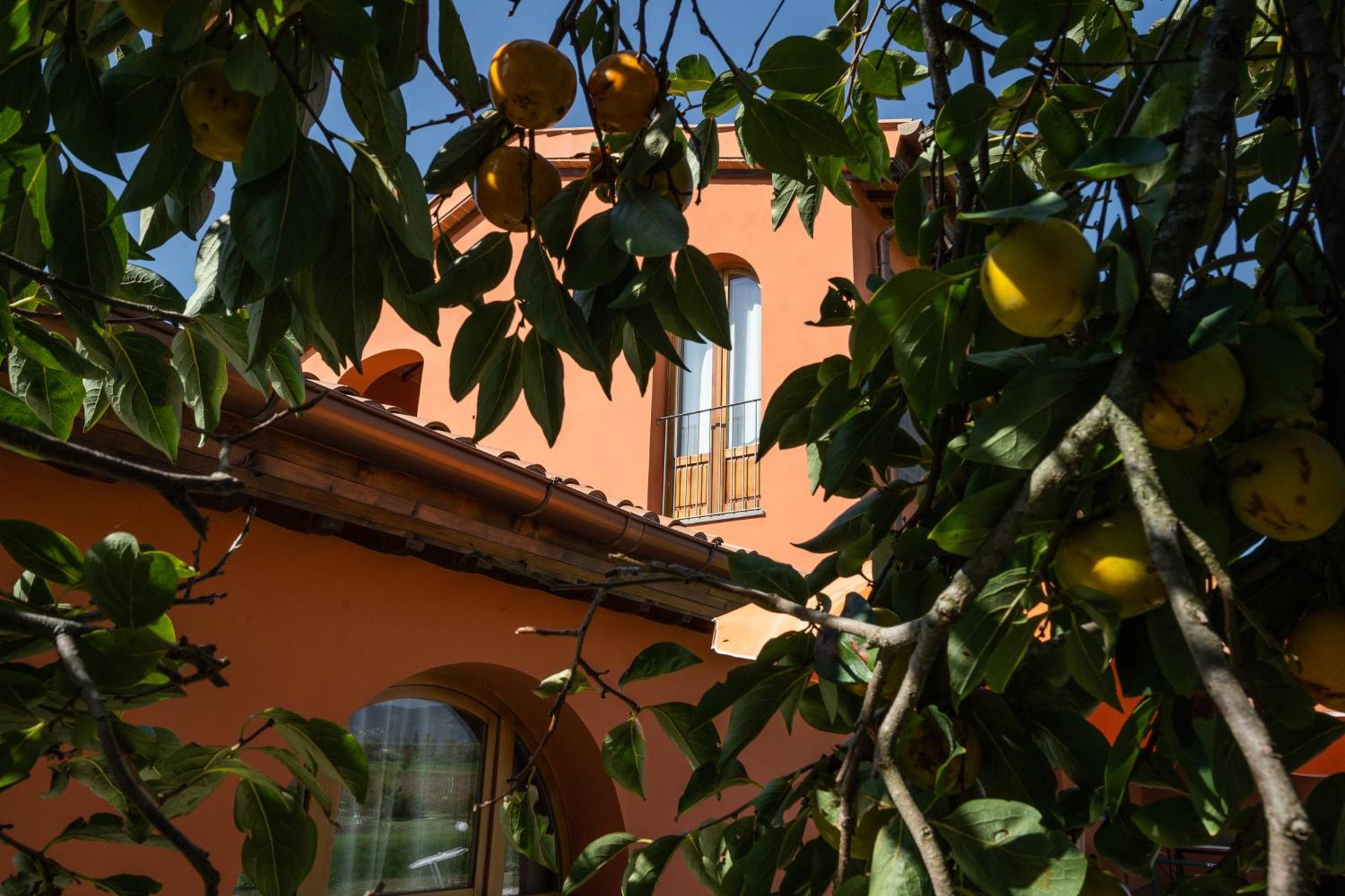 Incanto Toscano *
